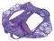 Tanga vibrante Crotchless Petite Panty Thrill-Her