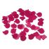 Diablo picante - 100 petali fucsia