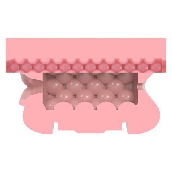 Fleshlight Masturbatore training unit Lady&Butt_