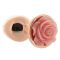 Plug anale Rear Assets