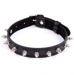 Collana Spike con anello