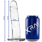 Xray Dildo trasparente con ventosa